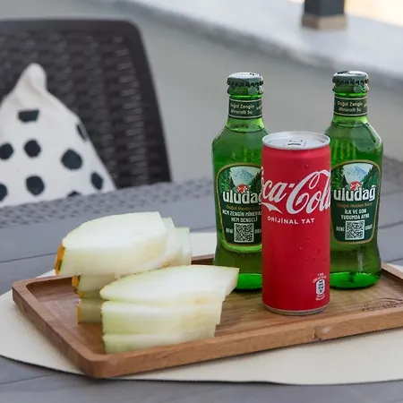 Art Life Aparments 알란야