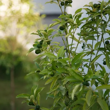 아파트 Art Life Aparments