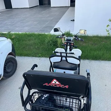 Art Life Aparments *